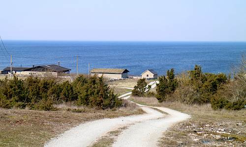 Foto: Stefan Svenaeus 2019