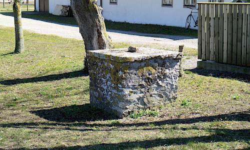 Foto: Stefan Svenaeus 2019
