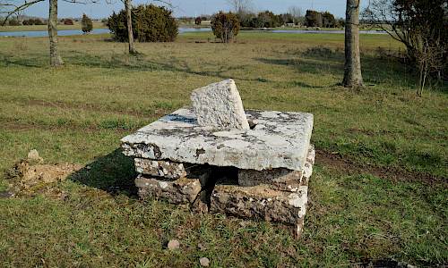 Foto: Stefan Svenaeus 2019
