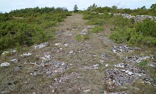 Foto: Stefan Svenaeus 2018