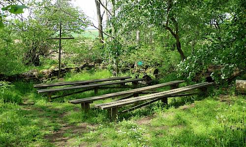 Foto: Stefan Svenaeus 2019