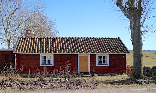 Foto: Stefan Svenaeus 2019