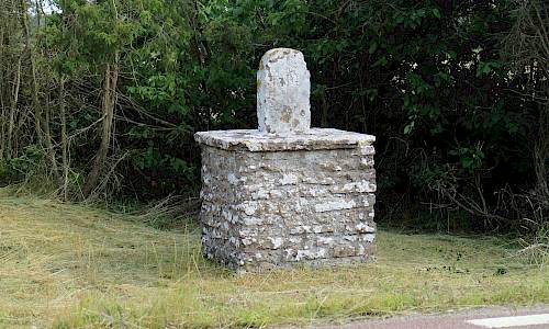 Foto: Stefan Svenaeus 2019