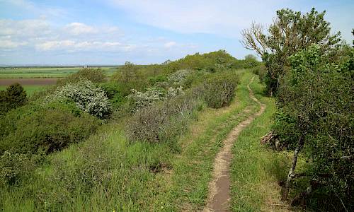 Landborgsleden Foto: Stefan Svenaeus 2019