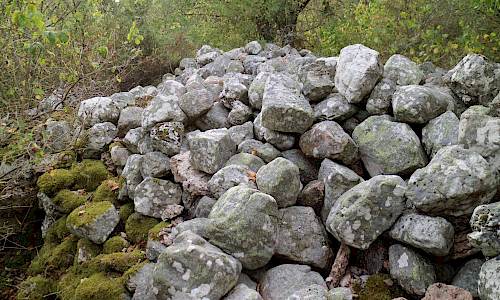 Foto: Stefan Svenaeus 2019