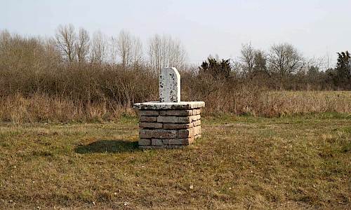 Foto: Stefan Svenaeus 2019