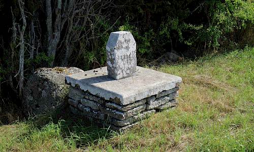 Foto: Stefan Svenaeus 2019