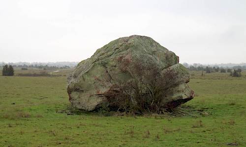 Foto: Stefan Svenaeus 2019
