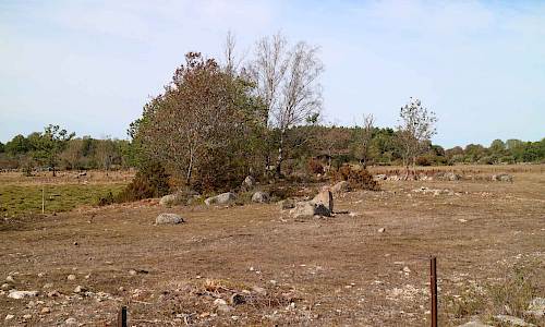 Foto: Stefan Svenaeus 2019
