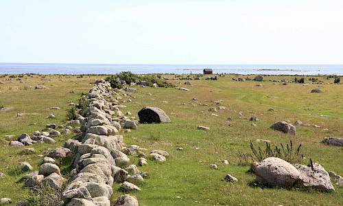 Foto: Stefan Svenaeus 2013