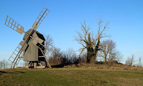 Foto: Stefan Svenaeus 2019
