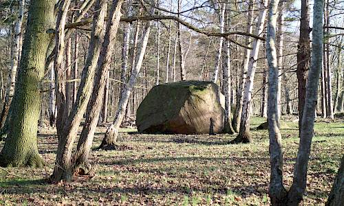 Foto: Stefan Svenaeus 2020