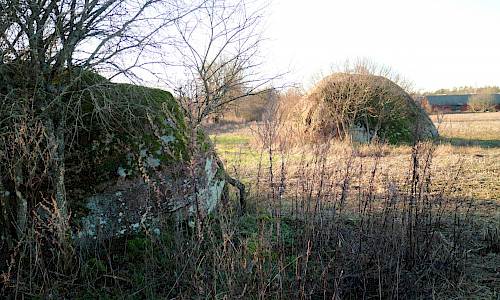 Foto: Stefan Svenaeus 2020