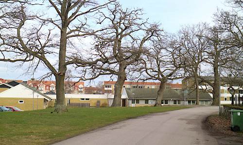 Foto: Stefan Svenaeus