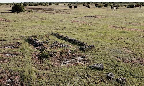 Foto: Oddbjörn Andersson