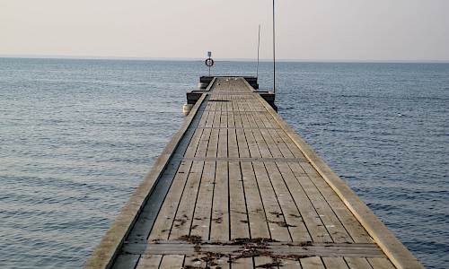 Foto: Stefan Svenaeus 2020