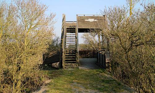 Foto: Stefan Svenaeus 2020