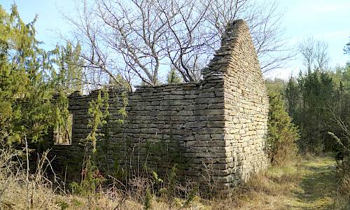 Foto: Stefan Svenaeus 2020