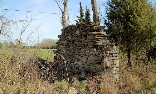 Foto: Stefan Svenaeus 2020
