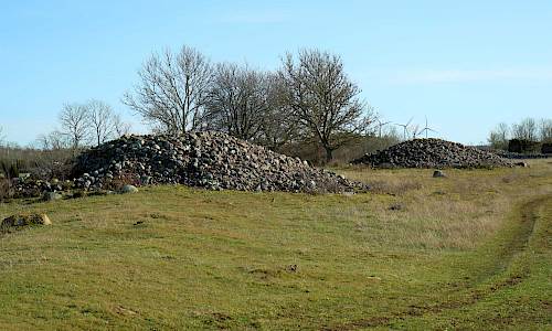 Foto: Stefan Svenaeus 2020