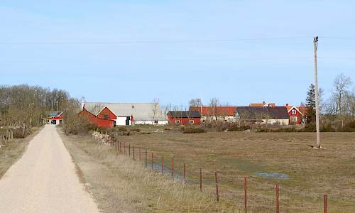 Foto: Stefan Svenaeus 2020