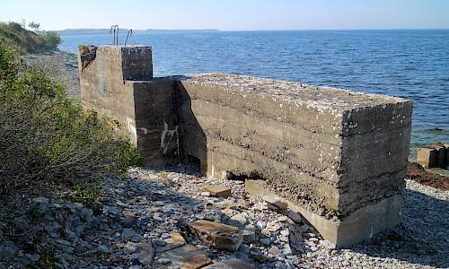 Foto: Stefan Svenaeus 2020