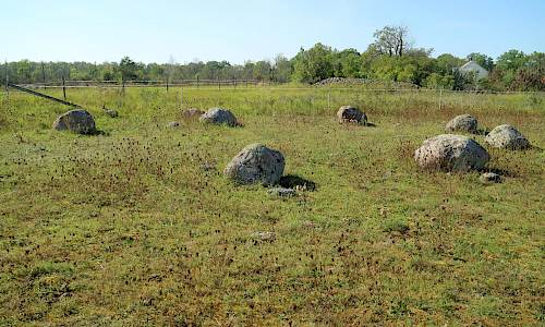 Foto: Stefan Svenaeus 2020