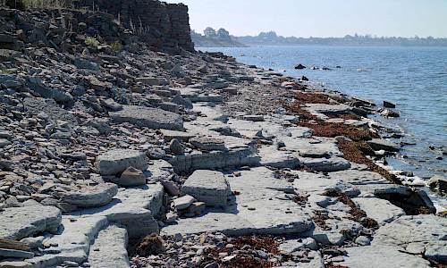 Foto: Stefan Svenaeus 2020