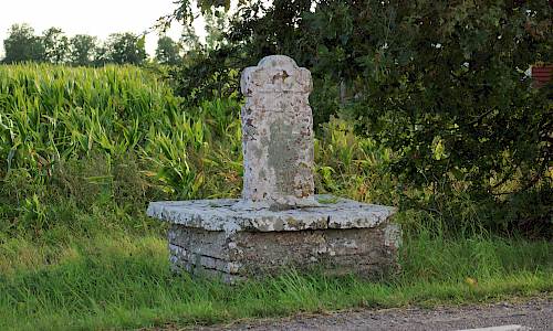 Foto: Stefan Svenaeus 2020