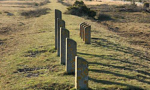 Foto: Stefan Svenaeus