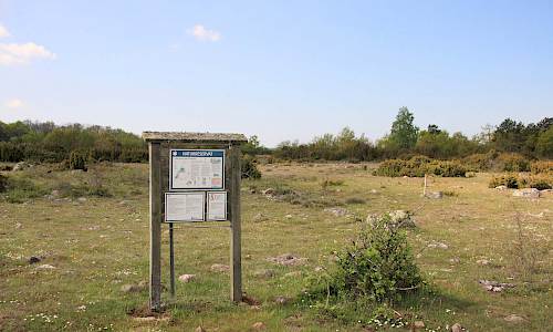 Foto: Stefan Svenaeus 2014