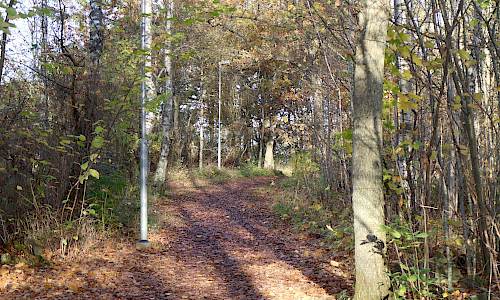 Foto: Stefan Svenaeus 2020