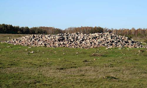 Foto: Stefan Svenaeus 2020