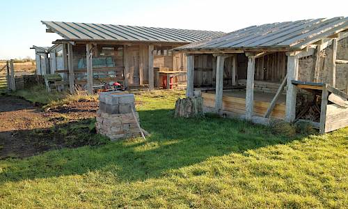 Foto: Stefan Svenaeus 2020