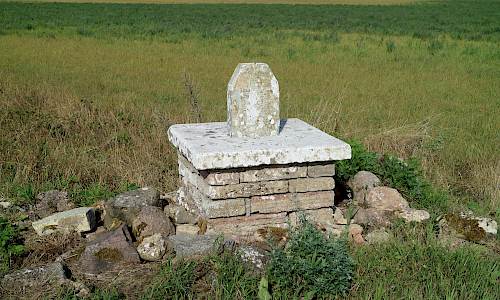 Foto: Stefan Svenaeus 2020
