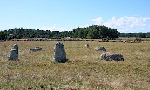 Foto: Stefan Svenaeus 2013