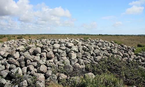 Foto: Stefan Svenaeus 2014