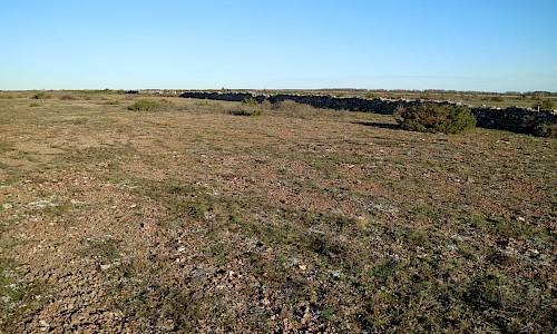 Foto: Stefan Svenaeus 2020