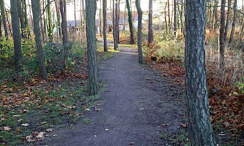 Foto: Stefan Svenaeus 2020
