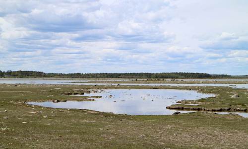 Foto: Stefan Svenaeus 2020