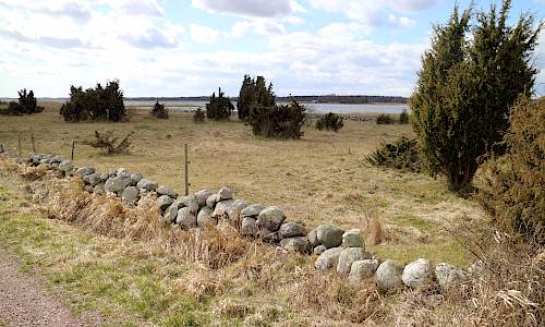 Foto: Stefan Svenaeus 2021