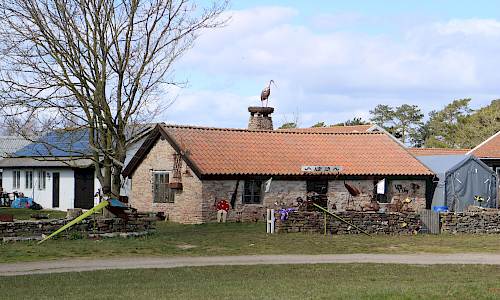 Foto: Stefan Svenaeus 2021