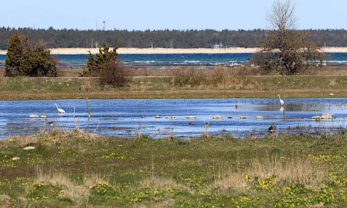 Foto: Stefan Svenaeus 2021