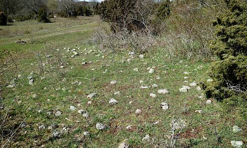 Foto: Stefan Svenaeus 2021