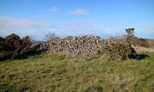 Foto: Stefan Svenaeus 2021