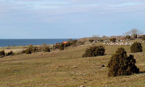 Foto: Stefan Svenaeus