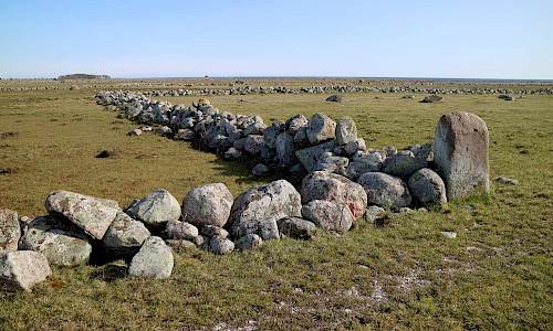 Foto: Stefan Svenaeus 2021