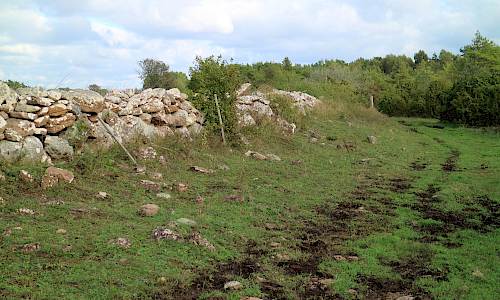 Foto: Stefan Svenaeus 2021