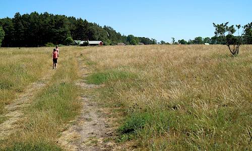 Ancylusvallen vid Bredsättra