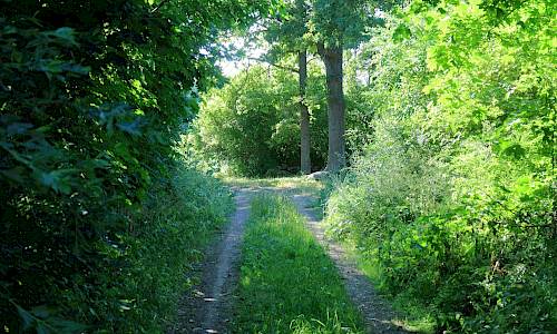 Vid Tors källa Foto; Stefan Svenaeus 2021
